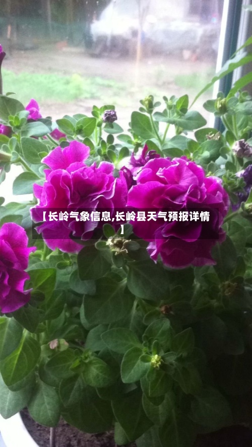 【长岭气象信息,长岭县天气预报详情】