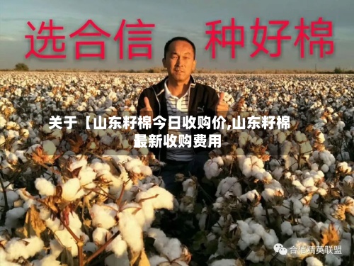 关于【山东籽棉今日收购价,山东籽棉最新收购费用
】-第3张图片