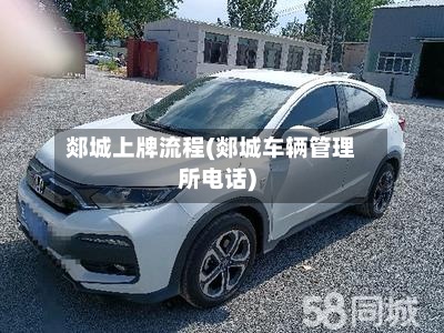郯城上牌流程(郯城车辆管理所电话)