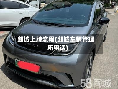 郯城上牌流程(郯城车辆管理所电话)-第2张图片