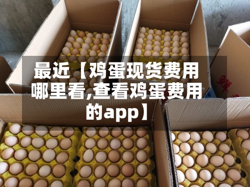 最近【鸡蛋现货费用
哪里看,查看鸡蛋费用
的app】-第3张图片