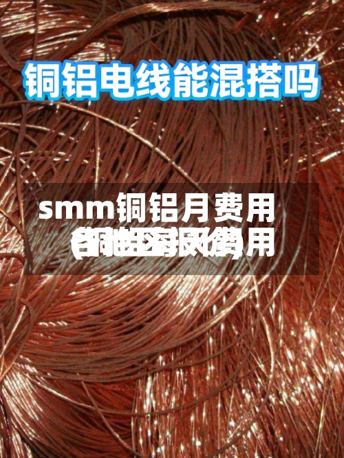 smm铜铝月费用
(铜铝每天费用
各地区报价)
