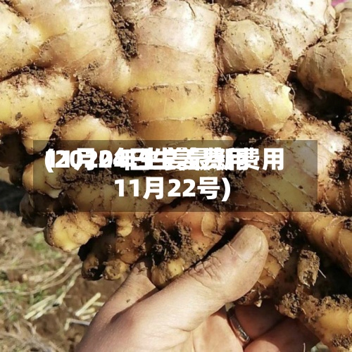11月24日生姜费用
(2020年生姜最新费用
11月22号)