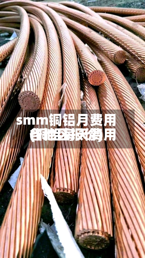 smm铜铝月费用
(铜铝每天费用
各地区报价)-第2张图片