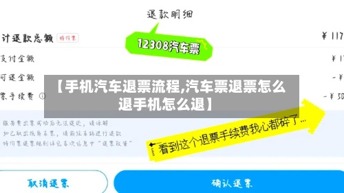 【手机汽车退票流程,汽车票退票怎么退手机怎么退】-第3张图片