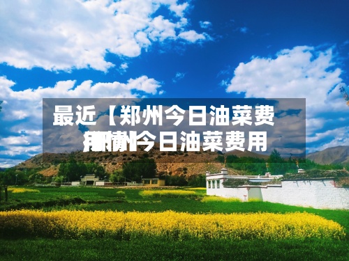 最近【郑州今日油菜费用
,郑州今日油菜费用
行情】-第3张图片