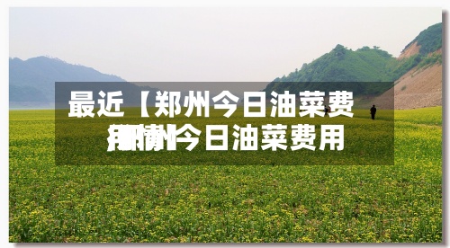 最近【郑州今日油菜费用
,郑州今日油菜费用
行情】-第2张图片