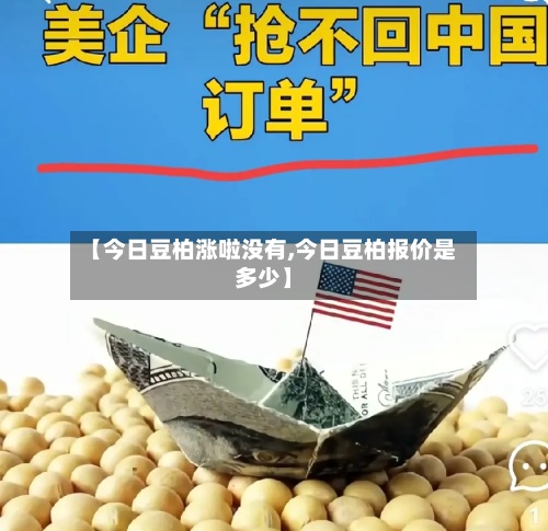【今日豆柏涨啦没有,今日豆柏报价是多少】