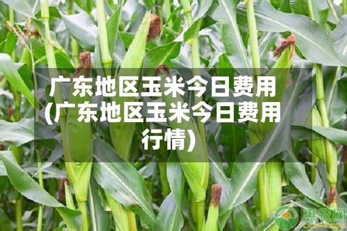 广东地区玉米今日费用
(广东地区玉米今日费用
行情)