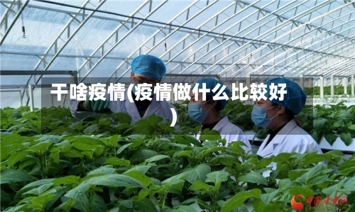 干啥疫情(疫情做什么比较好)-第2张图片