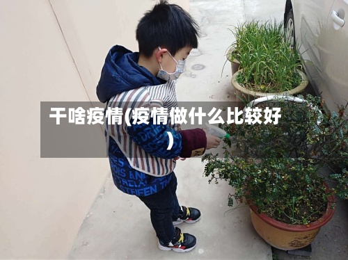 干啥疫情(疫情做什么比较好)-第3张图片