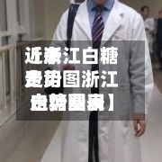 近来【浙江白糖费用走势图浙江白糖费用走势图表】