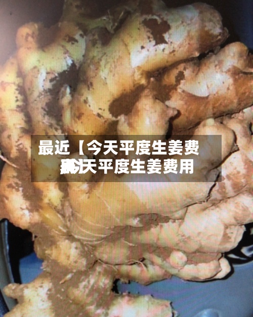 最近【今天平度生姜费用,今天平度生姜费用表】-第3张图片