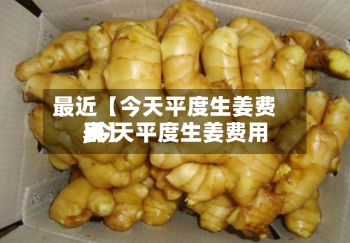 最近【今天平度生姜费用,今天平度生姜费用表】-第2张图片