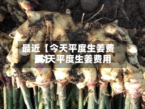 最近【今天平度生姜费用
,今天平度生姜费用
表】