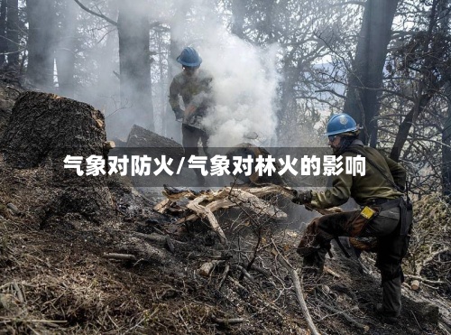 气象对防火/气象对林火的影响