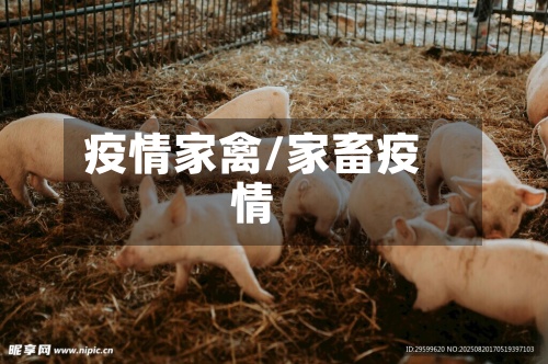 疫情家禽/家畜疫情