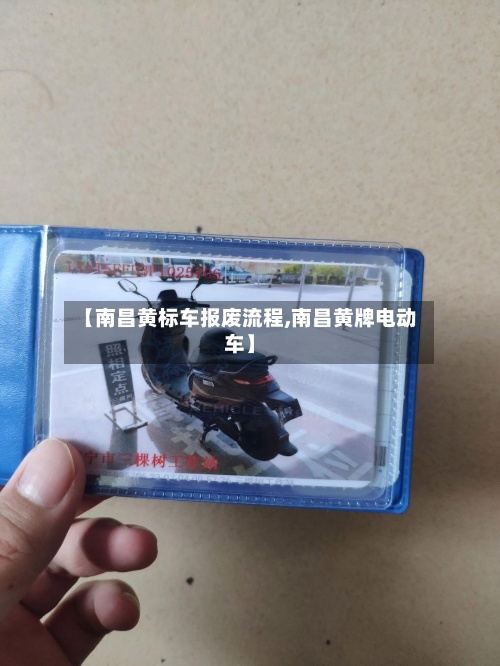 【南昌黄标车报废流程,南昌黄牌电动车】