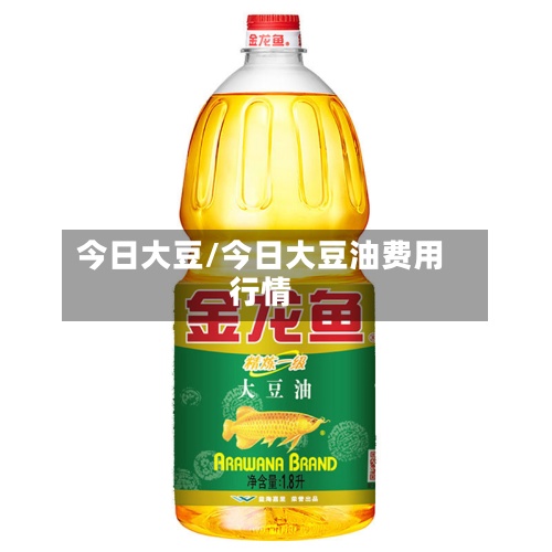 今日大豆/今日大豆油费用行情