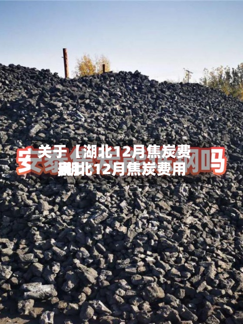 关于【湖北12月焦炭费用
,湖北12月焦炭费用
表】