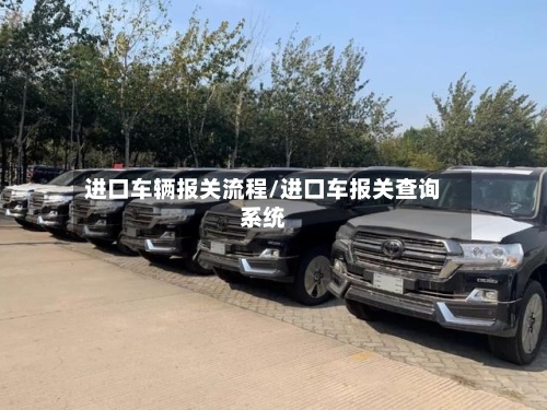进口车辆报关流程/进口车报关查询系统-第2张图片
