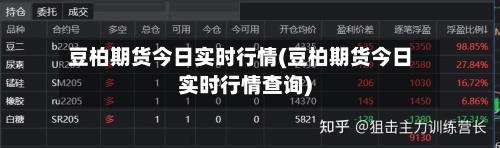 豆柏期货今日实时行情(豆柏期货今日实时行情查询)-第3张图片