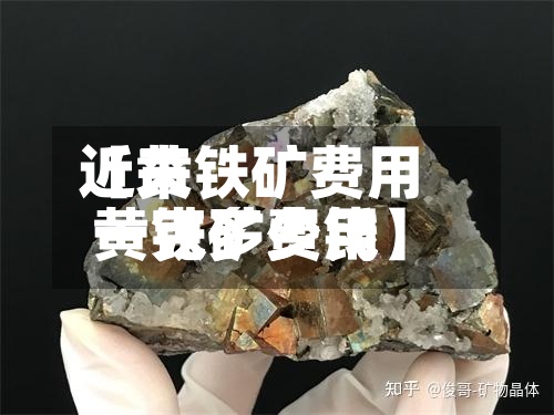 近来
【黄铁矿费用
黄铁矿费用
一克多少钱】-第2张图片