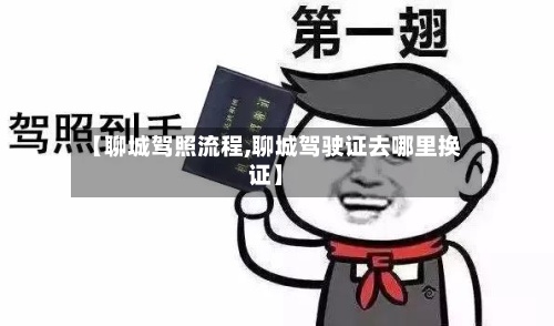 【聊城驾照流程,聊城驾驶证去哪里换证】-第3张图片