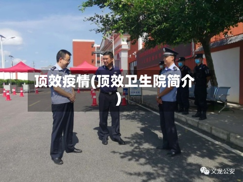 顶效疫情(顶效卫生院简介)