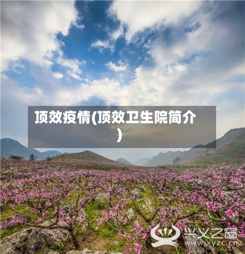 顶效疫情(顶效卫生院简介)-第2张图片