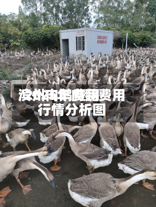 滨州肉鹅费用
/2025年肉鹅费用
行情分析图