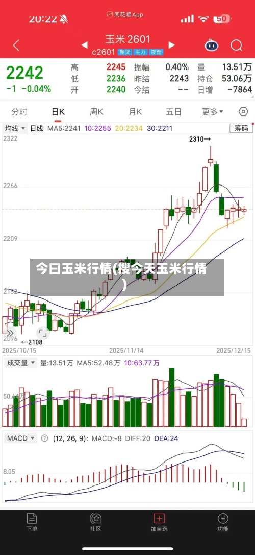 今曰玉米行情(搜今天玉米行情)-第2张图片