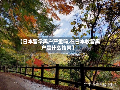 【日本留学黑户严重吗,在日本收留黑户是什么结果】-第2张图片