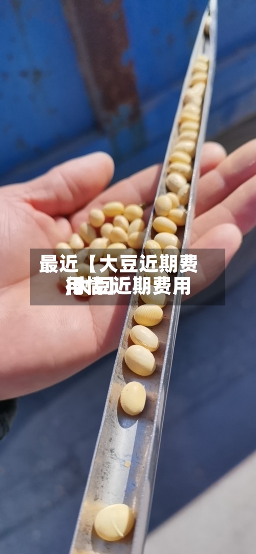 最近【大豆近期费用,大豆近期费用行情】