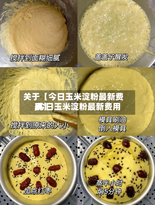关于【今日玉米淀粉最新费用,今日玉米淀粉最新费用表】