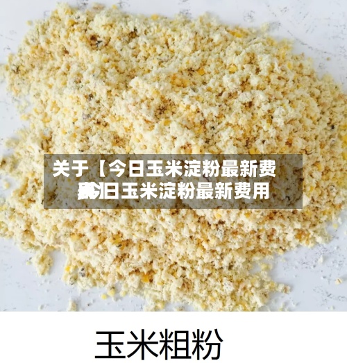 关于【今日玉米淀粉最新费用
,今日玉米淀粉最新费用
表】-第2张图片