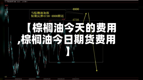 【棕榈油今天的费用
,棕榈油今日期货费用
】-第2张图片