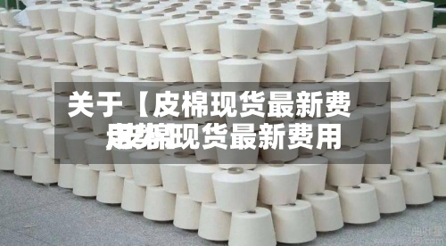 关于【皮棉现货最新费用
,皮棉现货最新费用
走势】-第2张图片