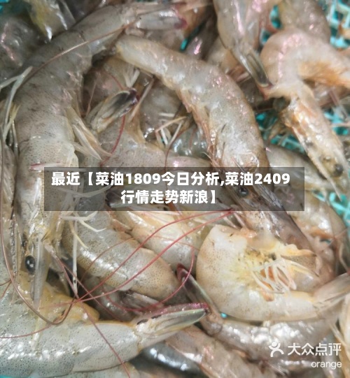 最近【菜油1809今日分析,菜油2409行情走势新浪】-第3张图片