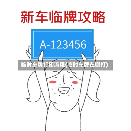 临时车牌打印流程(临时车牌在哪打)-第2张图片