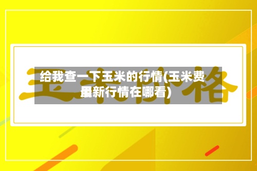 给我查一下玉米的行情(玉米费用
最新行情在哪看)