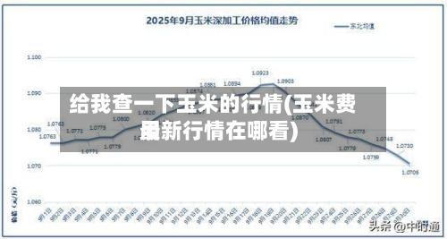 给我查一下玉米的行情(玉米费用最新行情在哪看)-第2张图片