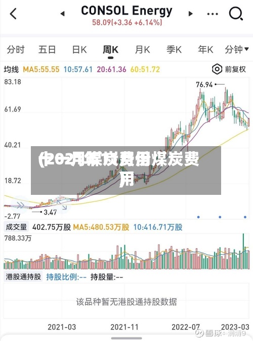十一月煤炭费用(2021年11月份煤炭费用)