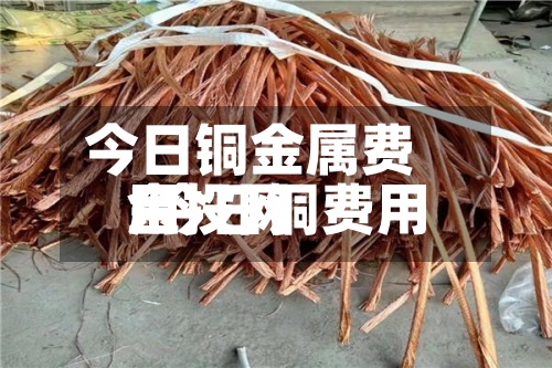 今日铜金属费用
/今日铜费用
金投网-第2张图片
