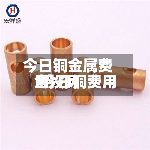 今日铜金属费用
/今日铜费用
金投网-第3张图片