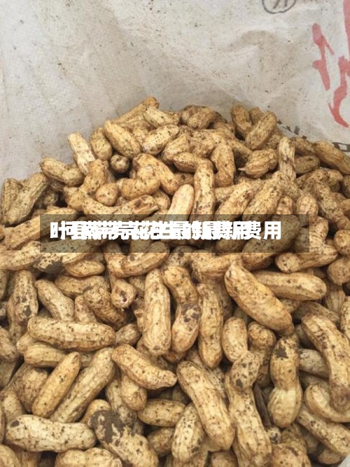 叶县带壳花生最新费用/河南带壳花生的最新费用