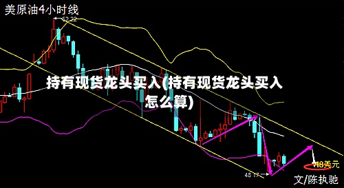 持有现货龙头买入(持有现货龙头买入怎么算)-第2张图片