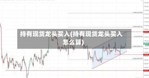 持有现货龙头买入(持有现货龙头买入怎么算)-第3张图片