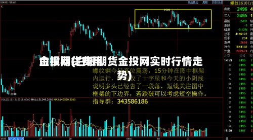 白银期货费用金投网(白银期货金投网实时行情走势)