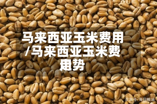 马来西亚玉米费用
/马来西亚玉米费用
走势-第2张图片